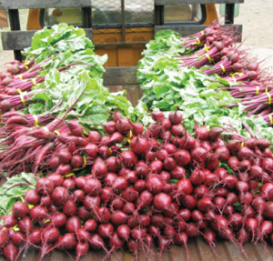Photo of beets